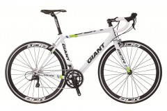 Giant SCR 1 (2015)
