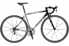 Giant TCR 2 (2006)